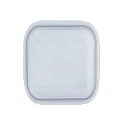 Gifi Conservation Alimentaire^2 boîtes de conservation en verre 640 ml et 1500 ml