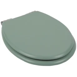 Abattant WC bois vert avec frein de chute déclipsable réglable^Gifi Best