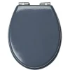 Abattant WC uni gris avec frein de chute^Gifi New