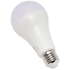 Ampoule LED A60 E27 x2^Gifi