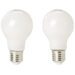 Ampoule LED A60 E27 60W x2^Gifi Sale