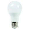 Ampoule LED E27^Gifi New