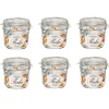 Gifi Conservation Alimentaire^Bocal à conserve avec fermeture à clapet 350 ml x 6