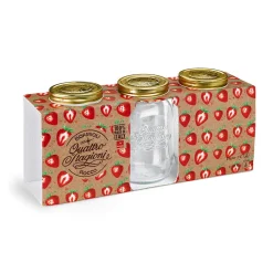 Gifi Conservation Alimentaire^Bocal à stériliser 1 L x 3
