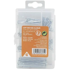 Boîte de clous - 125 pointes^Gifi Discount