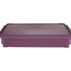 Best Boîte de rangement avec fermeture à clip violet 4 L Rangement