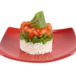 Gifi Cuisson^Cercle de présentation ajustable x2