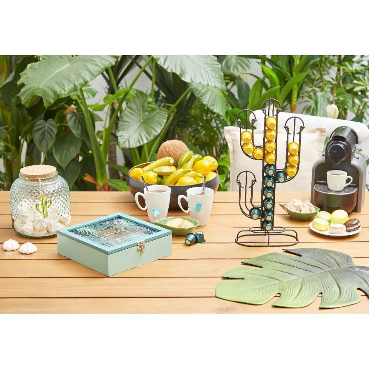 Gifi Rangement De Cuisine^Porte capsule café déco en forme de cactus noir