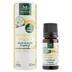 Synergie d'huiles essentielles bio 10 ml^Gifi Best