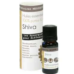 Synergie Shiva Mességué^Gifi Online