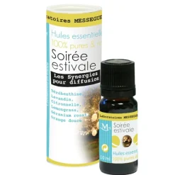 Synergie Soirée estivale Mességué^Gifi