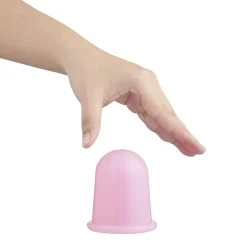 Ventouse x2 en silicone rose^Gifi Outlet