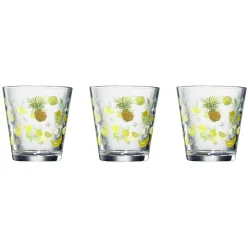 Gifi Vaisselle Et Accessoires De Table^Verre conique bas motif exotique 25,5 cl x3